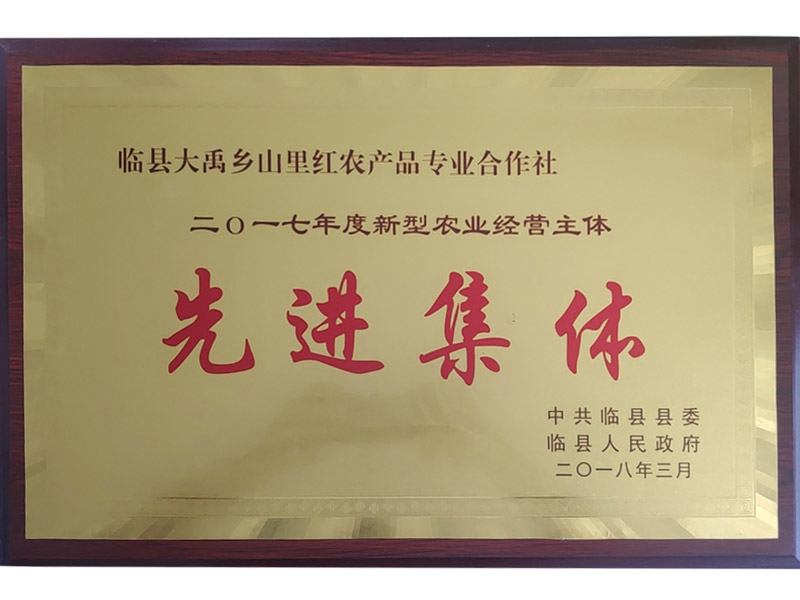 先进集体